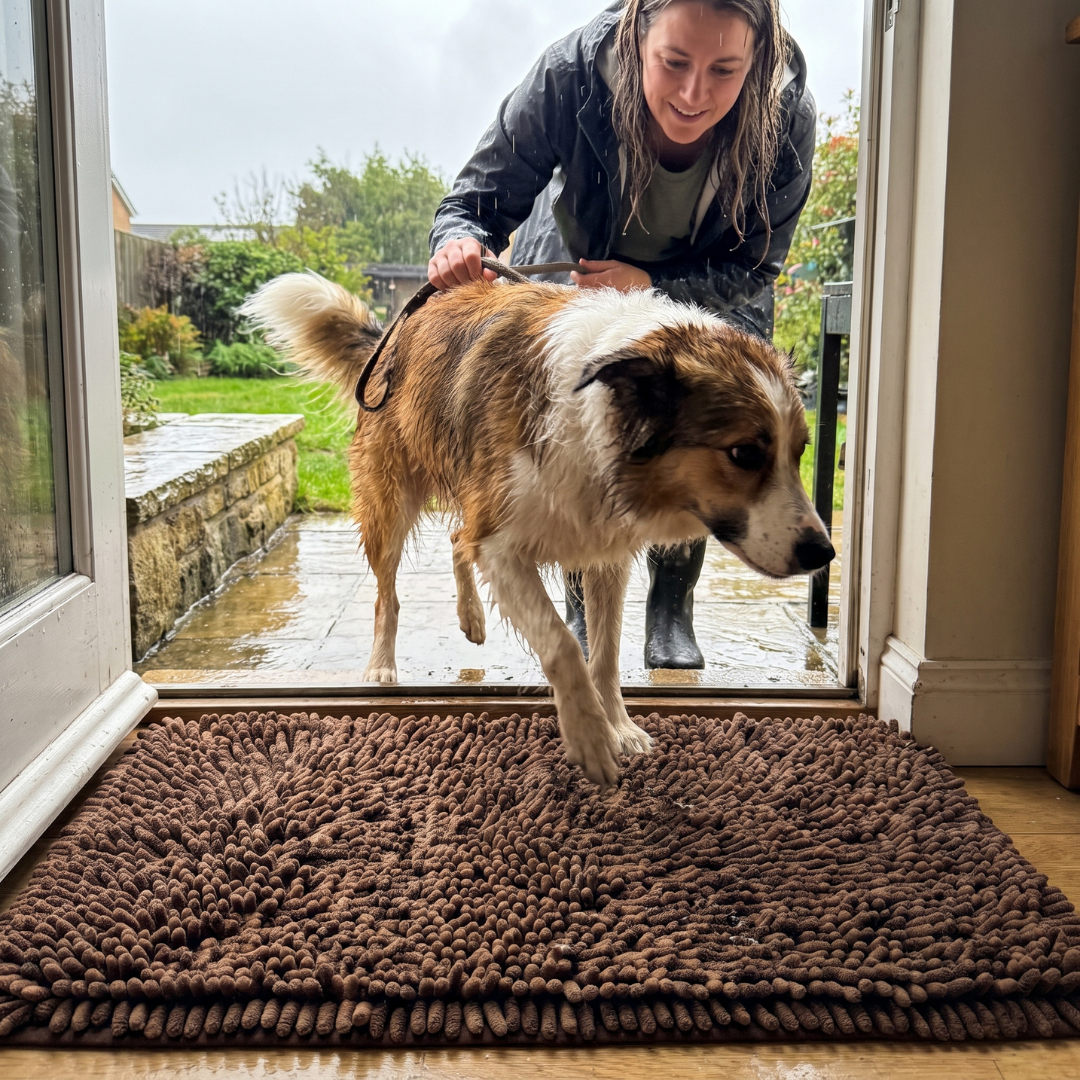 Absorbent Pet Mat