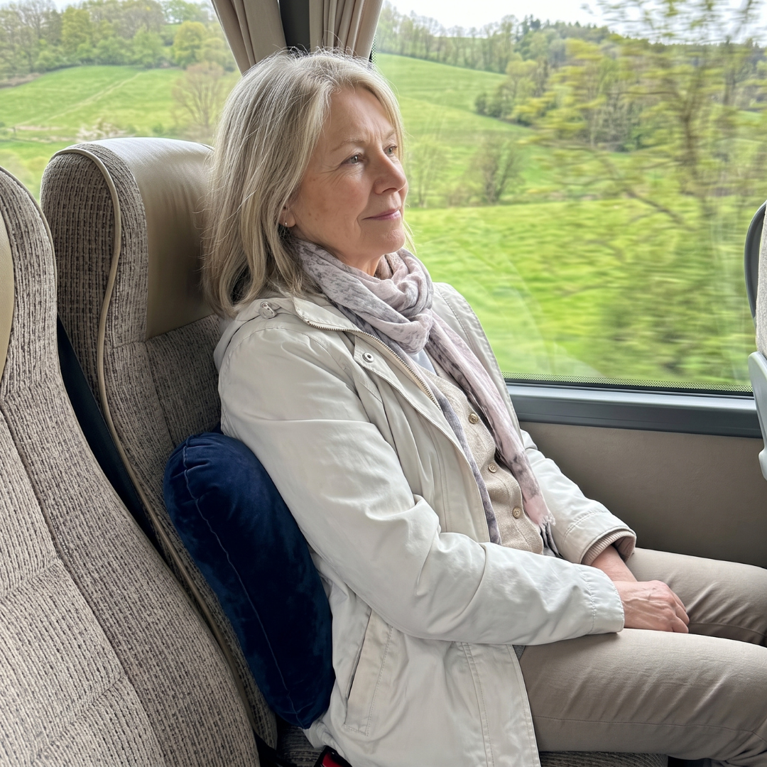 Travel Lumbar Pillow